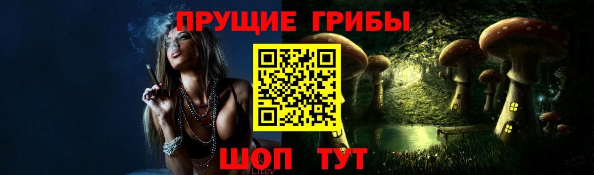 Псилоцибиновые грибы мицелий Сегежа